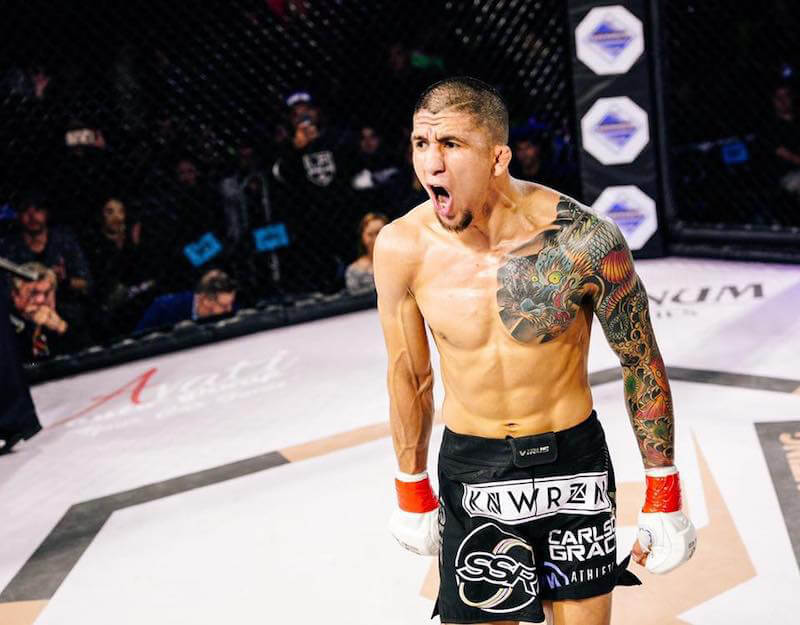Watch LXF1 Fights Online!